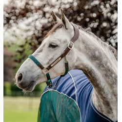 Licol d'équitation tressé Horseware Signature Licol d'équitation tressé Horseware Signature