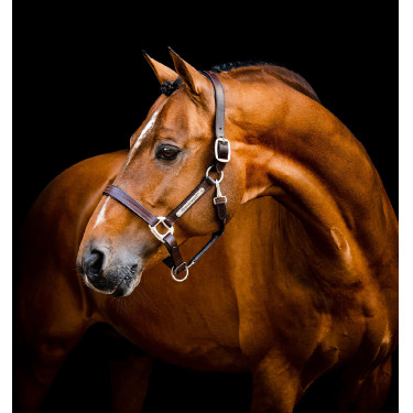 Licol en cuir d'équitation Horseware Signature Licol en cuir d'équitation Horseware Signature