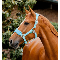 Licol Horseware de pansage Signature Marine Bleu marine