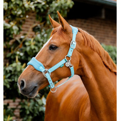Licol Horseware de pansage Signature Brume bleu Licol Horseware de pansage Signature Brume bleu