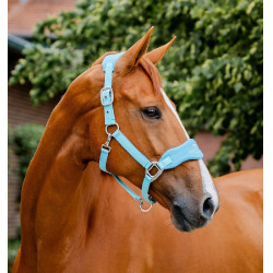 Licol Horseware de pansage Signature Brume bleu Licol Horseware de pansage Signature Brume bleu