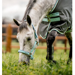 Licol d'Équitation Sécurisé Horseware® Fieldsafe