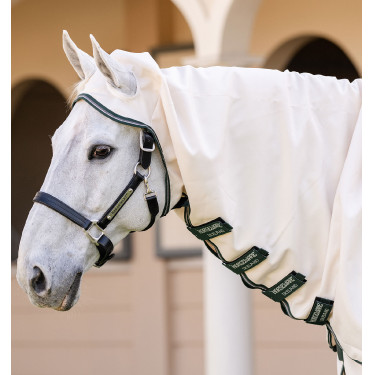 Couverture intégrale anti-insectes pour grands chevaux