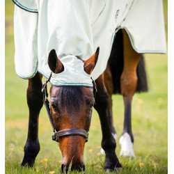 Couverture intégrale Horseware Rambo Hoody 0g Vert / sauge