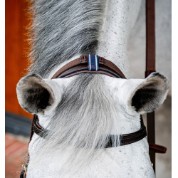 Bridon d'équitation anatomique Horseware Micklem 2