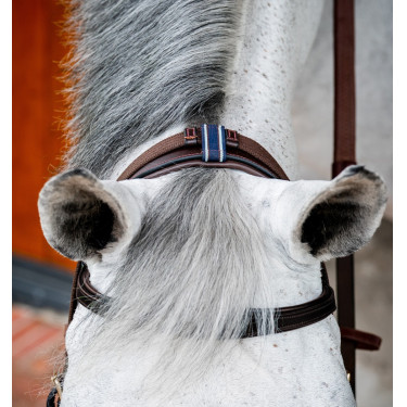 Bridon d'équitation anatomique Horseware Micklem 2