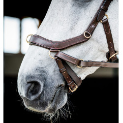 Bridon d'équitation anatomique Horseware Micklem 2