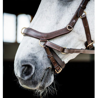 Bridon d'équitation anatomique Horseware Micklem 2