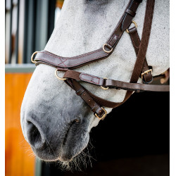 Bridon d'équitation anatomique Horseware Micklem 2