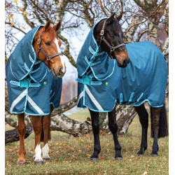 Couverture équestre eco-responsable Horseware Amigo