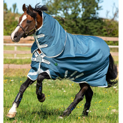 Couverture d'Équitation Écologique Amigo AmEco 12 Plus