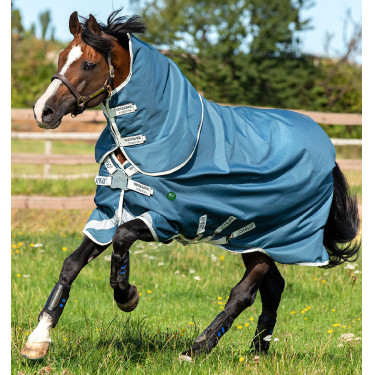 Couverture d'Équitation Écologique Amigo AmEco 12 Plus