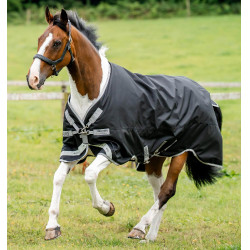 Couverture Amigo Bravo 12 XL 0g pour grands chevaux