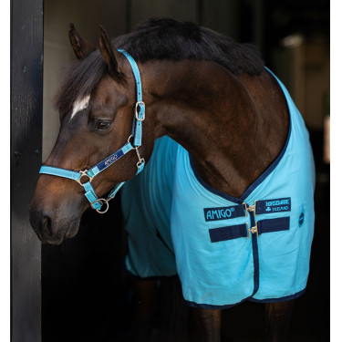 Chemise de box Horseware Amigo Delphinium 0g légère