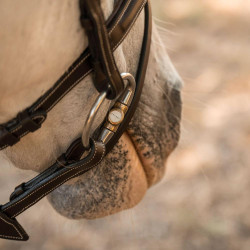 Mors d’équitation à olive cuivre double brisure Velari