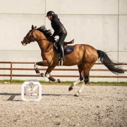 Cavaletti d’entraînement jumping en aluminium Kentucky