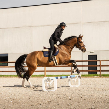 Cavaletti d’entraînement jumping en aluminium Kentucky