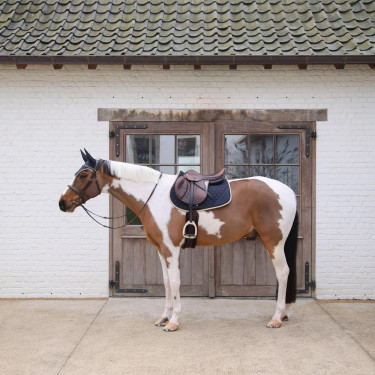 Tapis équitation saut Kentucky Softshell élégant Tapis équitation saut Kentucky Softshell élégant