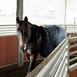 Surfaix d’équitation pour longe et marcheur Kentucky Surfaix d’équitation pour longe et marcheur Kentucky