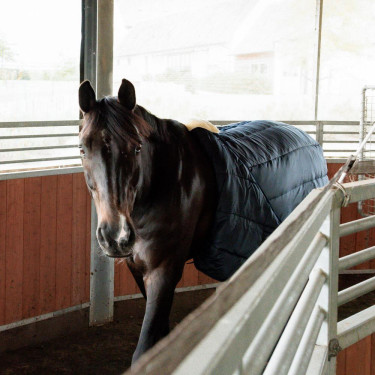 Surfaix d’équitation pour longe et marcheur Kentucky Surfaix d’équitation pour longe et marcheur Kentucky