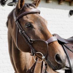 Muserolle d'équitation ergonomique Dy'on New English