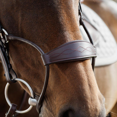 Muserolle d'équitation ergonomique Dy'on New English