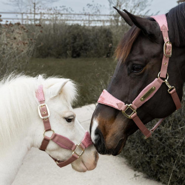 Licol d’équitation rose pailleté Kentucky Velvet Licol d’équitation rose pailleté Kentucky Velvet