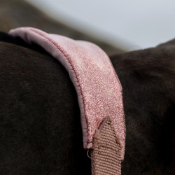 Licol d’équitation rose pailleté Kentucky Velvet Licol d’équitation rose pailleté Kentucky Velvet