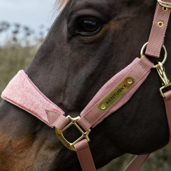 Licol d’équitation rose pailleté Kentucky Velvet Licol d’équitation rose pailleté Kentucky Velvet