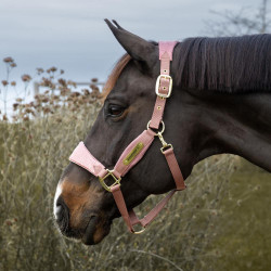 Licol d’équitation rose pailleté Kentucky Velvet Licol d’équitation rose pailleté Kentucky Velvet