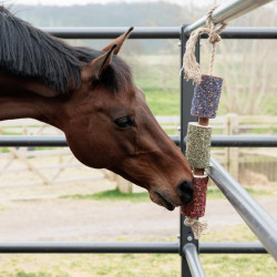Jouet sensoriel en bois pour chevaux – Relaxation box