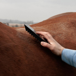 Étrille en acier pour pansage cheval intensif Étrille en acier pour pansage cheval intensif