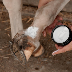 Crème équitation anti-gale de boue cheval