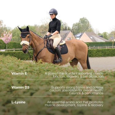 Complément vitaminé cheval sport & récupération Kentucky