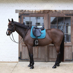 Tapis dressage respirant Kentucky pour cheval