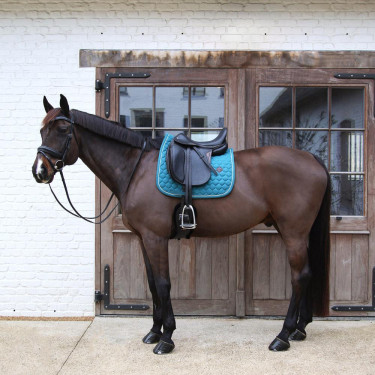 Tapis dressage respirant Kentucky pour cheval