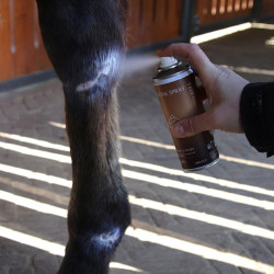 Spray au zinc pour sabots et peau du cheval