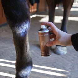 Spray au zinc pour sabots et peau du cheval