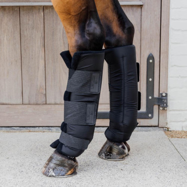 Protections d'écurie PROtect Classic postérieurs Kentucky Noir