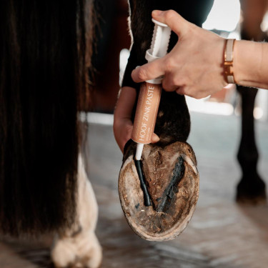 Soin fourchette sabot cheval - Pâte zinc Kentucky