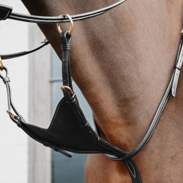Martingale équitation cuir souple Dy'on D Collection