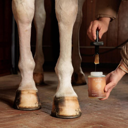 Huile pour Pieds Shine Grooming Deluxe by Kentucky Naturel Marron