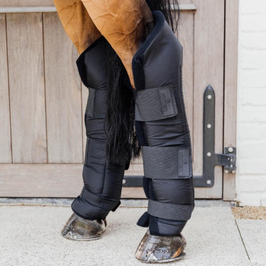 Guêtres d’écurie cheval PROtect Kentucky jarret