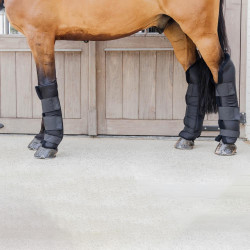 Stable boots PROtect pour antérieurs version longue Kentucky Noir
