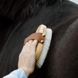 Brosse douce en poils de chèvre – Toilettage cheval