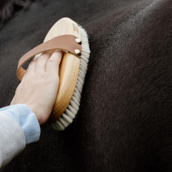 Brosse douce équitation – Brillance et confort