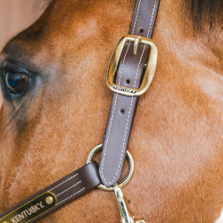 Licol en cuir Wellington Kentucky Brun Marron