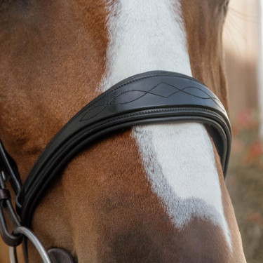 Muserolle anatomique sans sous barbe Dy'on – Équitation