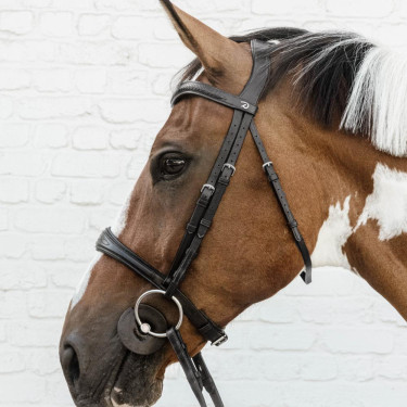 Muserolle anatomique sans sous barbe Dy'on – Équitation