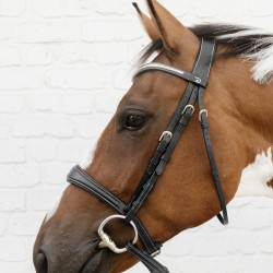 Muserolle anatomique sans sous barbe Dy'on - Équitation